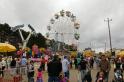 geelong show 08_63